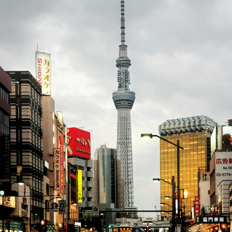 Recorrido a pie de medio día por Tokio con guía profesional