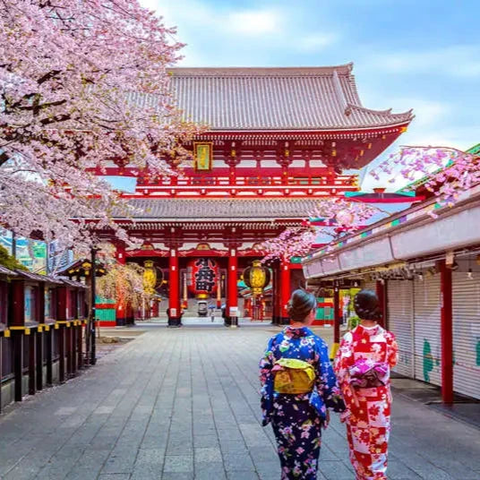 Visite à pied d'une journée complète à Tokyo avec un guide local.